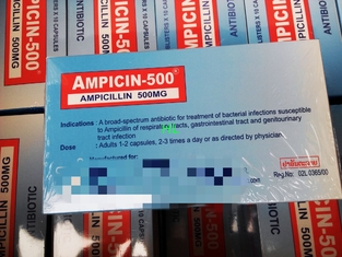 China Ampicillin Capsules 250MG 500MG BP / USP Penicillins Medicines supplier