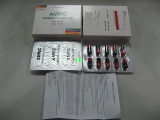 China Ampicillin Capsules 250MG 500MG BP / USP Penicillins Medicines supplier