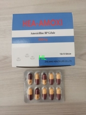 China Amoxicillin Tablets 250MG 500MG Antibiotic Medicines BP / USP supplier