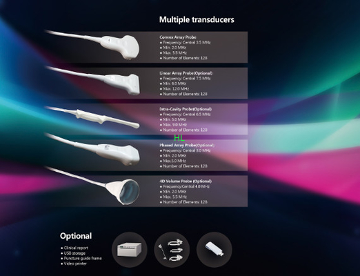 CE / ISO Approved Ultrasound Scanner Medical Surgical Equipment with Color Doppler supplier