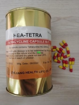 Tetracycline HCL Capsules 250MG 500MG BP / USP Antibiotics Medicines supplier