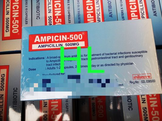 Ampicillin Capsules 250MG 500MG BP / USP Penicillins Medicines